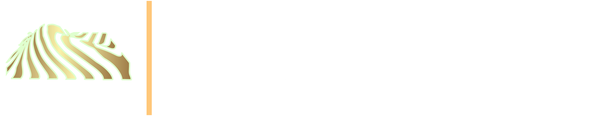Nexus Anticheat Logo